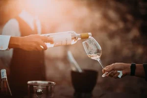 Melbourne Wine Tours