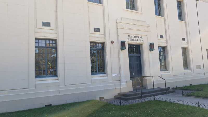 Wedding Photo Spots in Melbourne-9