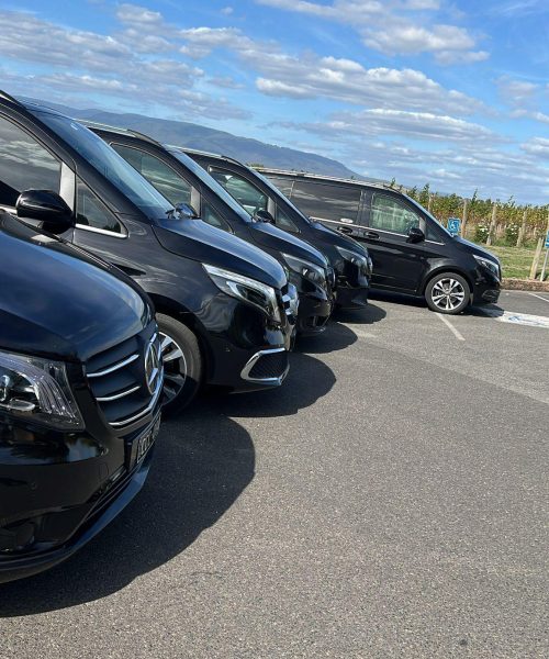 12 Seater Mini Bus Hire services in melbourne